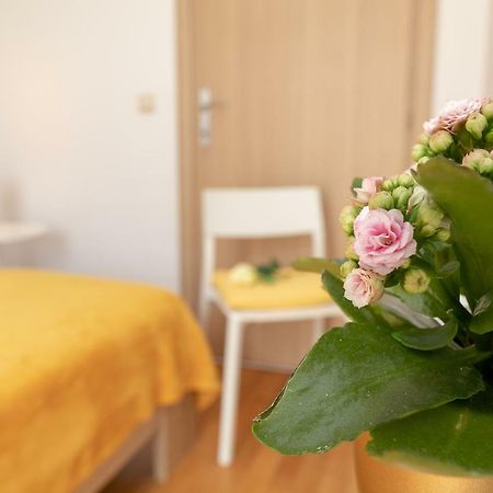 Apartment Nik - Cosy And Stylish Dubrovnik Dış mekan fotoğraf